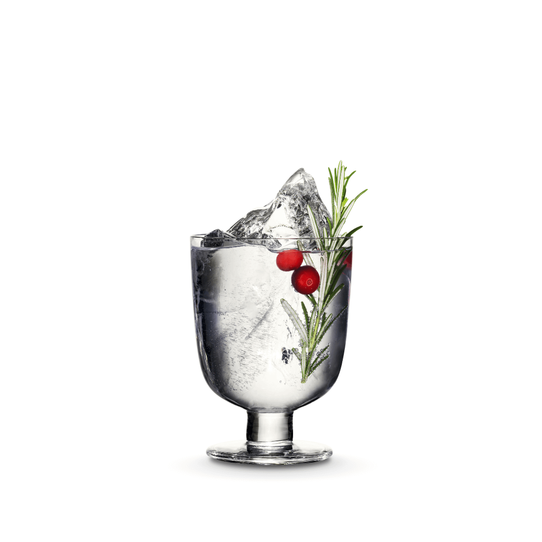 World's Best Gin & Tonic Cocktail Recipe – Kyrö Distillery Company