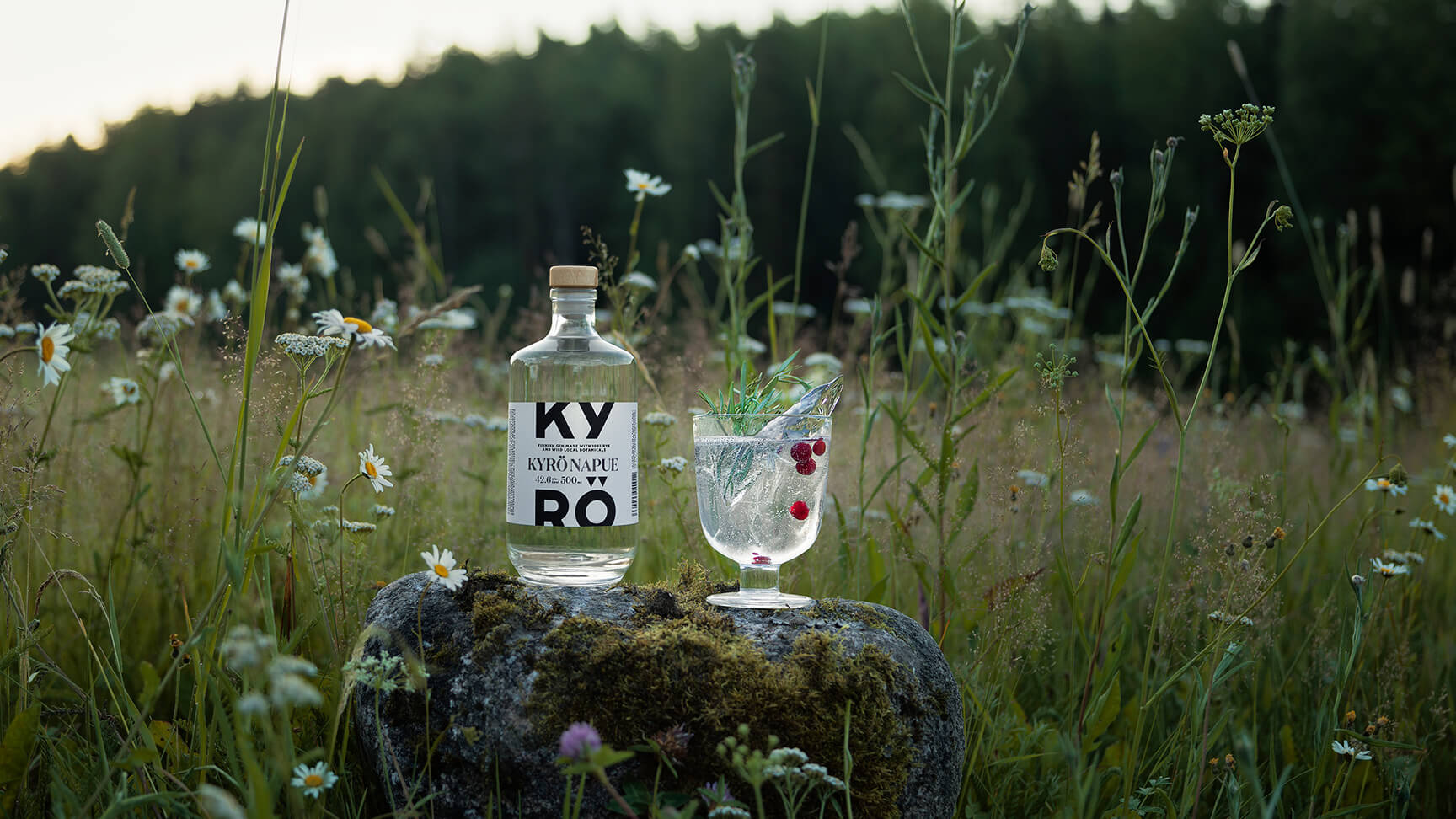 Kyrö Ginのボトル画像